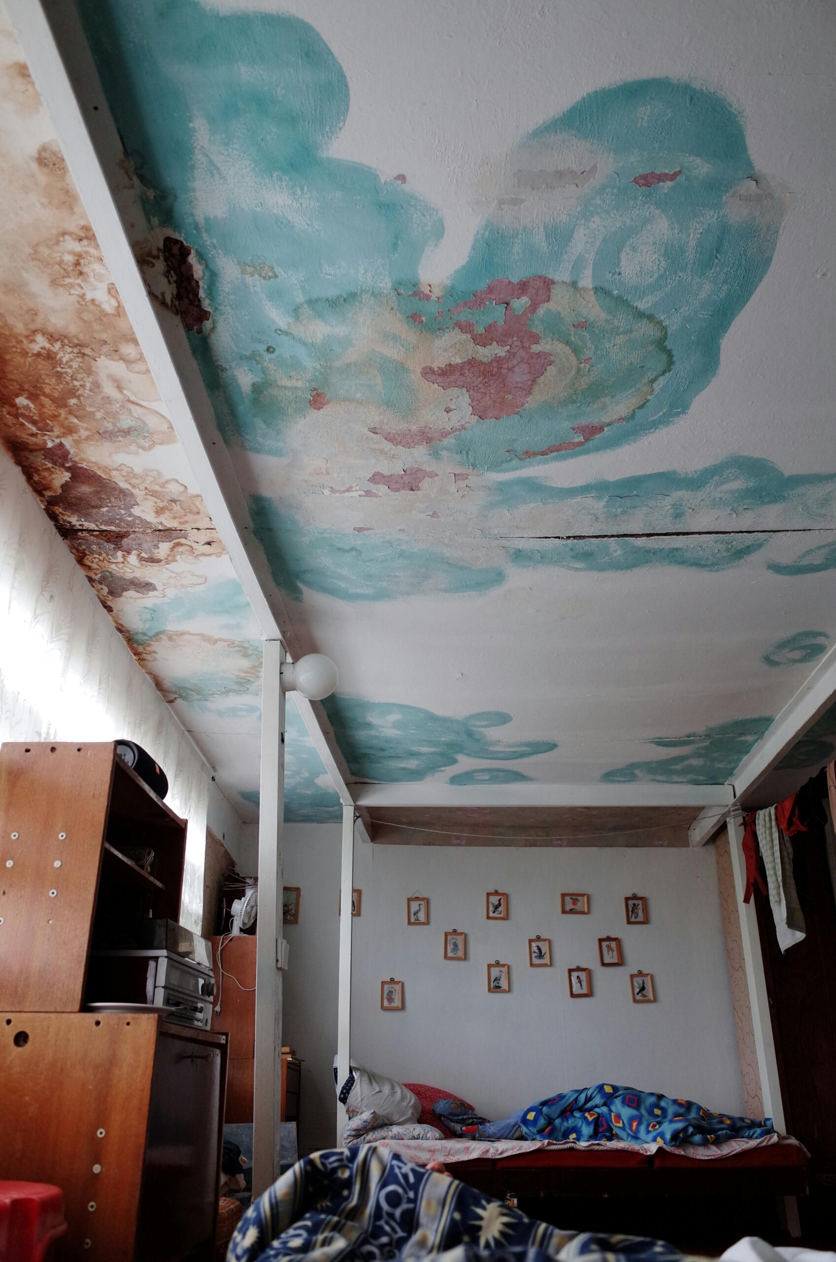 roof leak repair Winnipeg